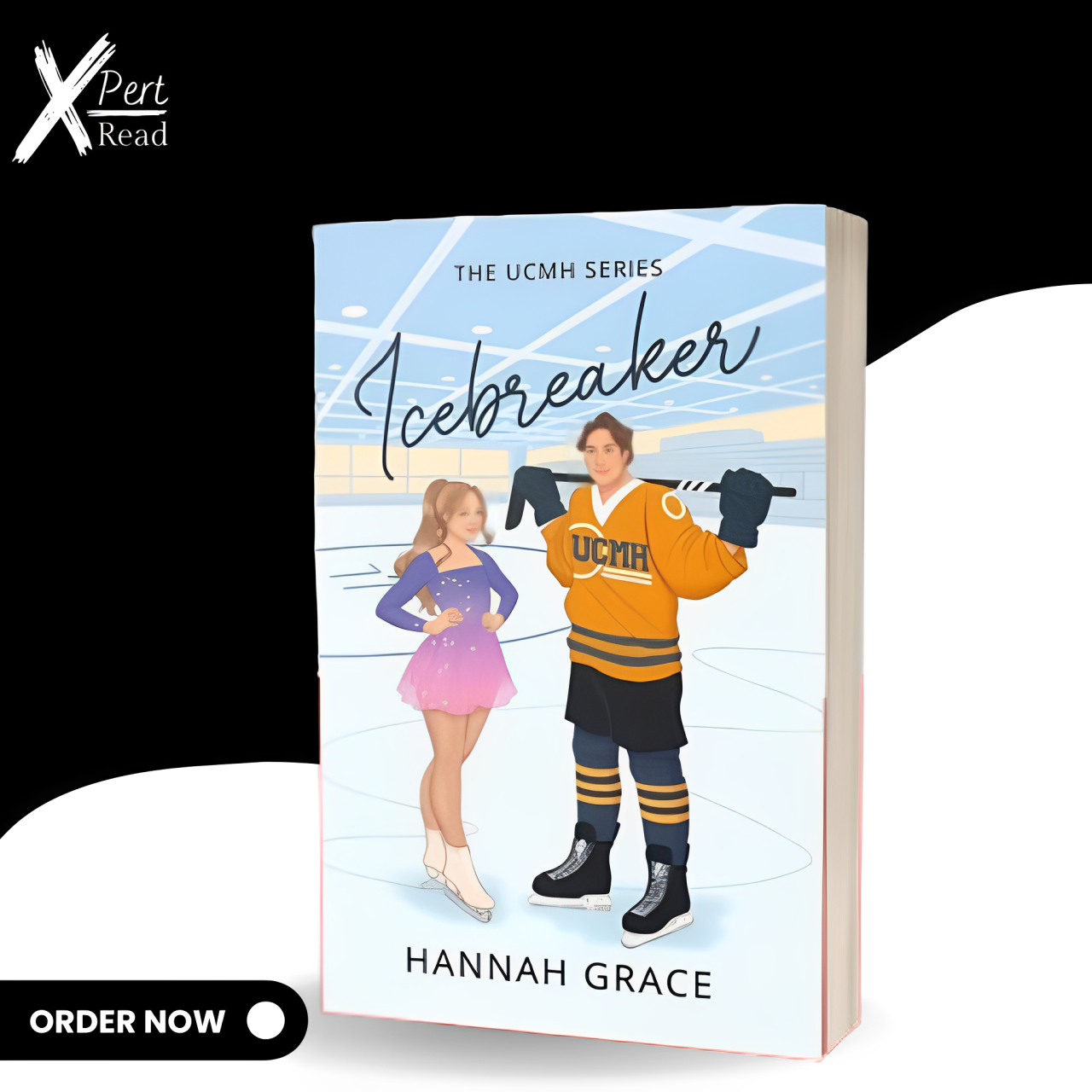 Icebreaker By Hannah Grace