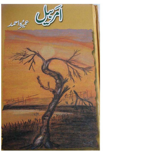 Amar bail By Umerah Ahmed