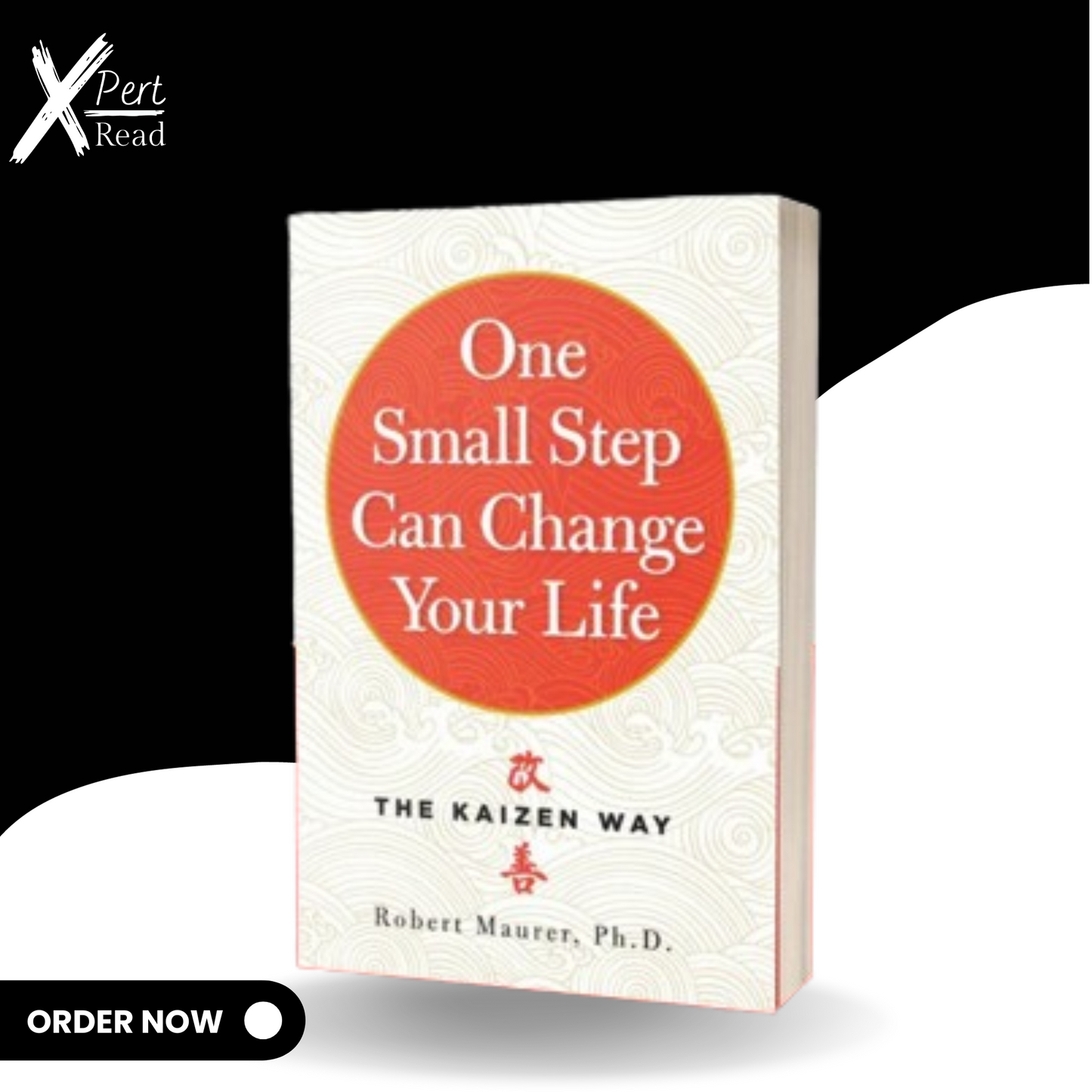 One Small Step Can Change Your Life: The Kaizen Way By Robert MAURER P.H.D